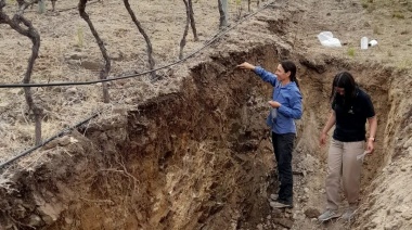 Mendoza será sede del Congreso Internacional del Terroir