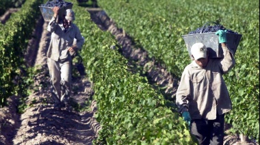 Semáforo de Coninagro: Las economías regionales profundizan su estado critico