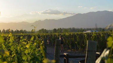 Viamonte Winery Lodge: Un Destino de Enoturismo de Lujo en Mendoza