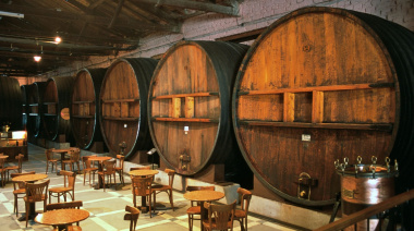 Bodegas abiertas en Mendoza: experiencias gratis para mendocinos durante junio
