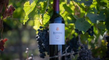 Rutini obtiene el “Best in Show” en los Decanter Awards 2025