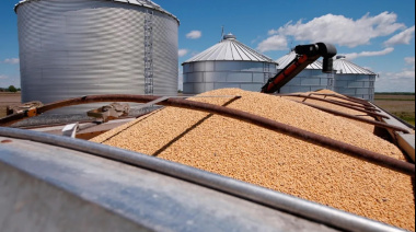El campo se prepara para un julio clave: liquidación récord y tensiones en la Sociedad Rural