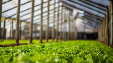 Maipú impulsa el programa “Agrolimpio” para transformar residuos agrícolas en recursos productivos