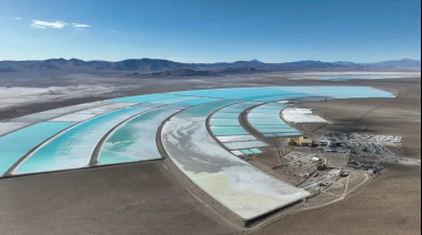 RIGI y minería argentina: ¿motor de inversiones o abuso de privilegios?