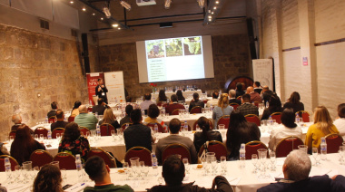 Fermentis Academy 2025: Argentina recibe una nueva edición del programa global de capacitación en vinos.