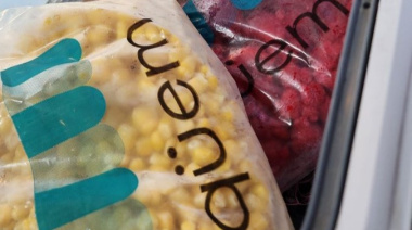 Cómo invertir en franquicias de alimentos congelados con QÜEM