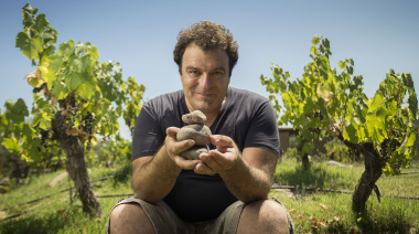Alejandro Vigil nominado por Wine Enthusiast como “Enólogo del Año”