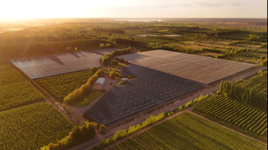 Mallas fotoselectivas de Agrinet: innovación sustentable que impulsa la productividad agrícola