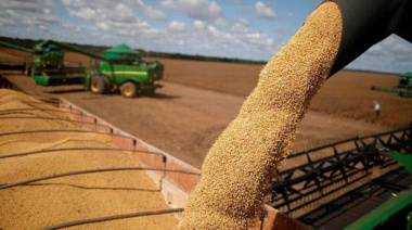 Retenciones cero: el agro argentino entre el rentismo, la presión fiscal y la pérdida de competitividad