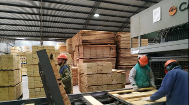 Industria argentina: la demanda interna desploma la actividad y crece el pesimismo empresarial