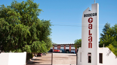 Revés judicial para Bodegas Galán: la Justicia ordenó medidas cautelares sobre 11 inmuebles