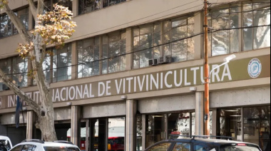 La Justicia frenó la desregulación del INV y restableció el CIU a días del inicio de la vendimia