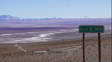 Inversiones millonarias y fábricas en jaque: la cara B del RIGI