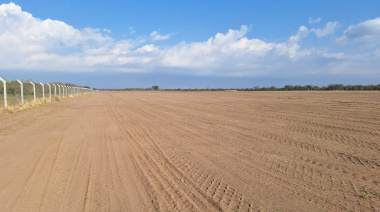 Minas Argentinas colocó obligaciones negociables por US$ 3,6 millones para un parque solar en San Luis