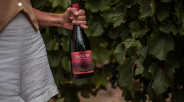 Vendimia como motor turístico: Rosell Boher Lodge propone cosecha y gastronomía en Alto Agrelo
