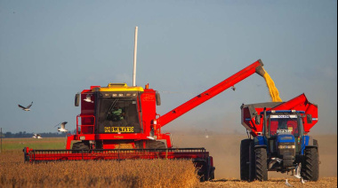 Costos agrícolas y competitividad: cómo se posiciona Argentina frente a sus competidores