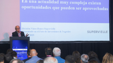 El vino en Mendoza busca adaptarse a nuevas tendencias y abre oportunidades de inversión