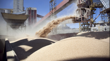 Argentina exportó más en un mundo que pagó menos