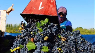 Salarios en bodegas y viñas: cómo quedó el acuerdo paritario 2026