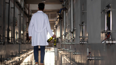 Día del Malbec: tras la caída de 2025, el varietal argentino a granel muestra señales de recuperación en 2026