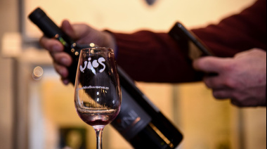 Más verde, más global: el Malbec argentino se sube a la revolución sustentable