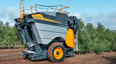 Revolución en la olivicultura: nueva cosechadora multiplica la productividad y reduce la dependencia de mano de obra