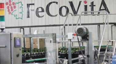 Fecovita: la Justicia ratifica el rechazo del pedido de quiebra impulsado por Iberte