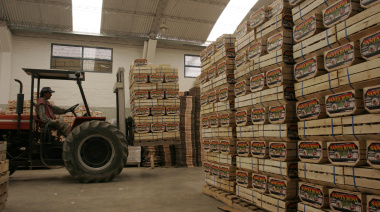 Exportaciones de Mendoza: la provincia sigue lejos de su potencial y busca recuperar competitividad