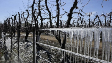 Tecnología e innovación para enfrentar el desafío de las heladas en Mendoza