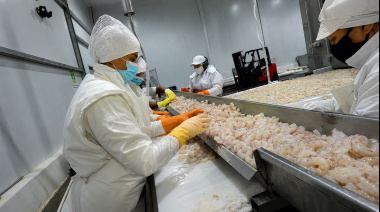 Cabo Vírgenes adquirió Sea Fresh y amplía su capacidad industrial en la pesca argentina