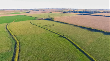 Compra de tierras: el 77% de los argentinos apoya mantener límites para los extranjeros