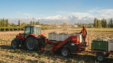 Nueva tecnología para la cosecha de ajo en Mendoza: Agrocosecha incorpora maquinaria Zocapi