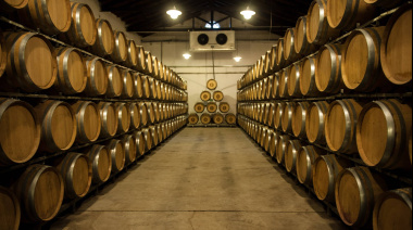 La Bolsa de Comercio de Mendoza analizó el futuro del vino a granel y el escenario exportador