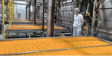 Unilever cerró su histórica planta de vegetales de Guaymallén