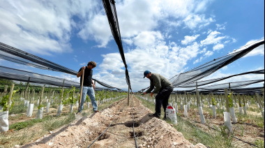 CrowdFarming.Wine se expande a 10 países y comienza a producir vinos propios en Italia
