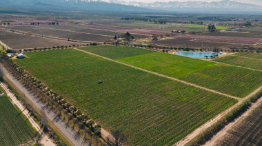 Ley de Tierras: la Corte destrabó el DNU 70/23 y levantó las restricciones a extranjeros