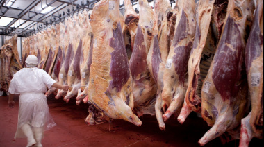 Carne vacuna: consumo en mínimos, precios altos y exportaciones récord
