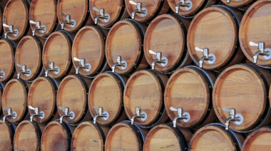 Vino a granel: 14 empresas argentinas participarán de la principal feria mundial en Ámsterdam