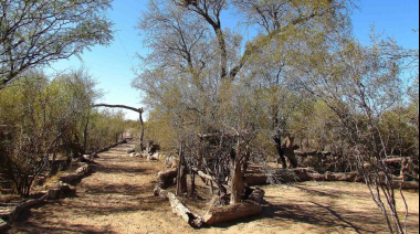 Sello Algarrobo: Mendoza incorpora la huella de carbono a su oferta turística