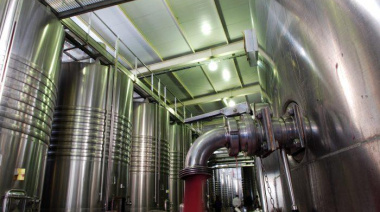 Vino argentino: las exportaciones crecen en volumen, pero caen 4,7% en dólares