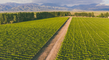 Mendoza tendrá un foro del vino sobre sustentabilidad, inteligencia artificial y acceso a mercados