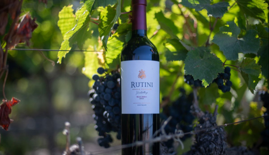 Rutini obtiene el “Best in Show” en los Decanter Awards 2025