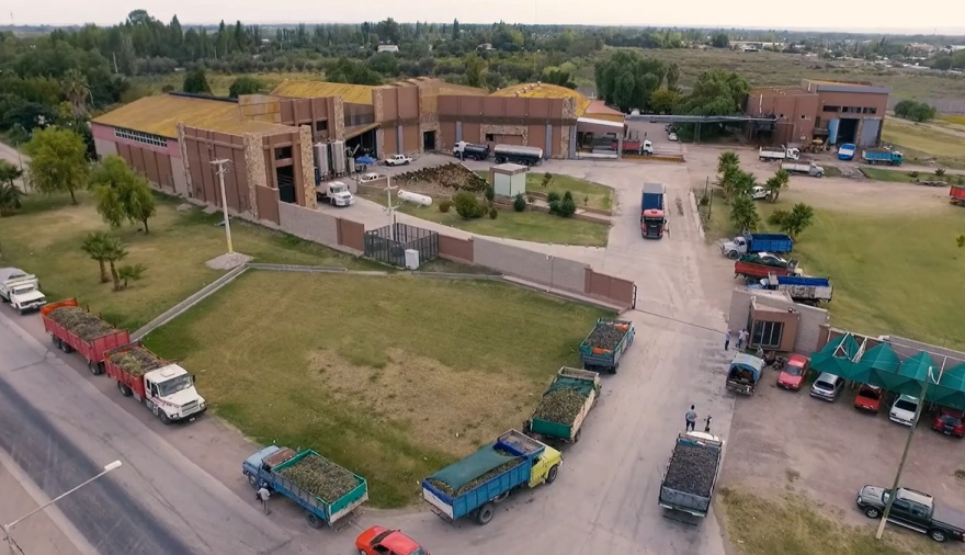 Fallo definitivo: Iberte gana el juicio a Marcelo Bocardo por incumplimiento contractual