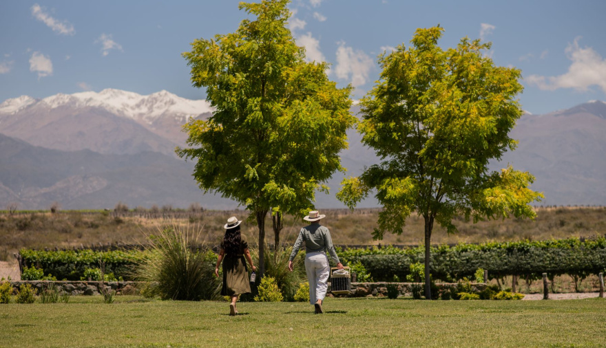 Turismo del vino en Mendoza: Huentala Wines apuesta a experiencias premium con picnics en Gualtallary