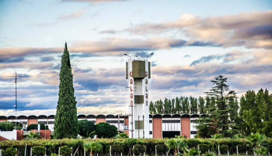 La Justicia Federal calculó una deuda millonaria en litros de vino de Bodegas Galán con Iberte