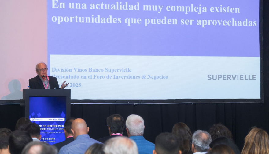 El vino en Mendoza busca adaptarse a nuevas tendencias y abre oportunidades de inversión