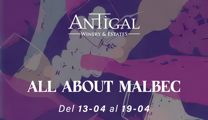 Antigal impulsa el consumo con una experiencia gastronómica para celebrar el mes del Malbec