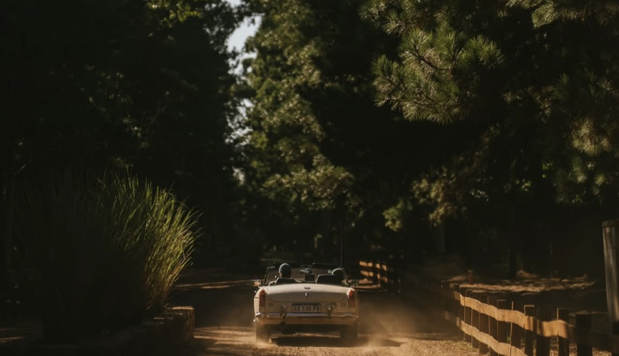 MG participa en Gran Carrera y refuerza su posicionamiento en el segmento automotor