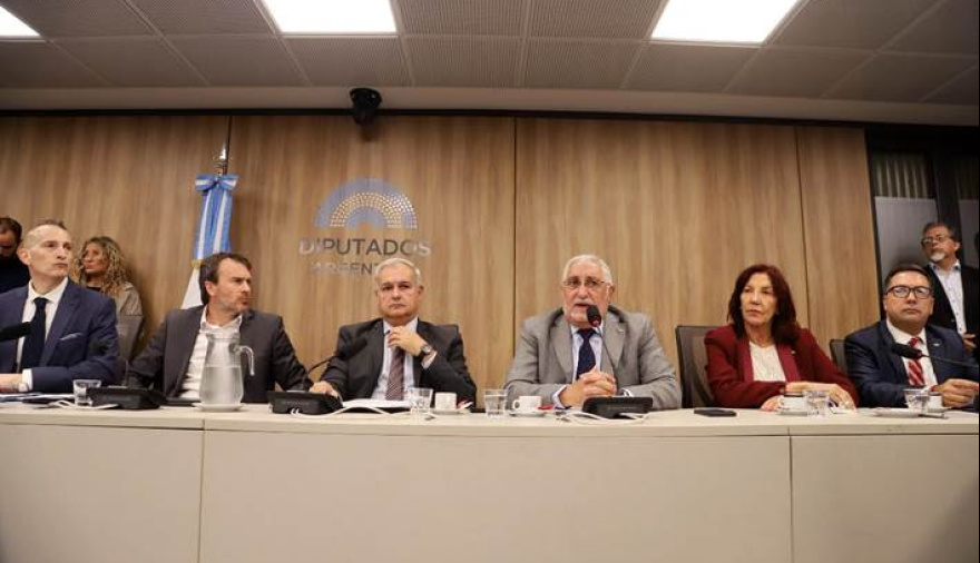 CAME presentó en Diputados propuestas para aliviar la situación de las pymes