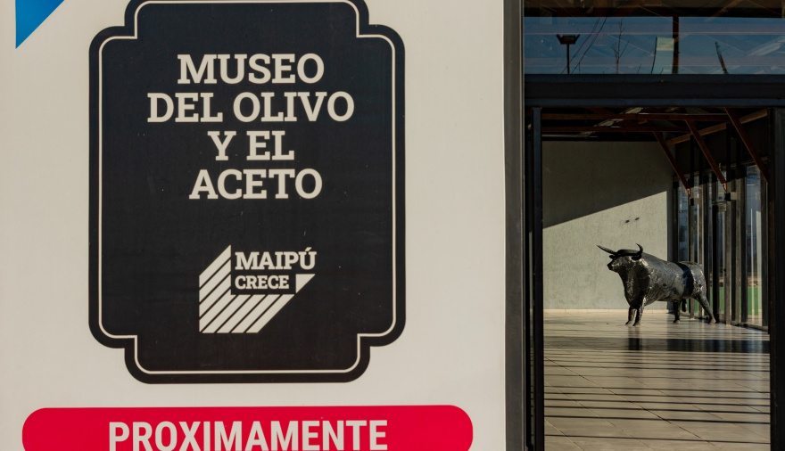Maipú invertirá en un museo autosustentable para consolidar al oleoturismo como motor económico